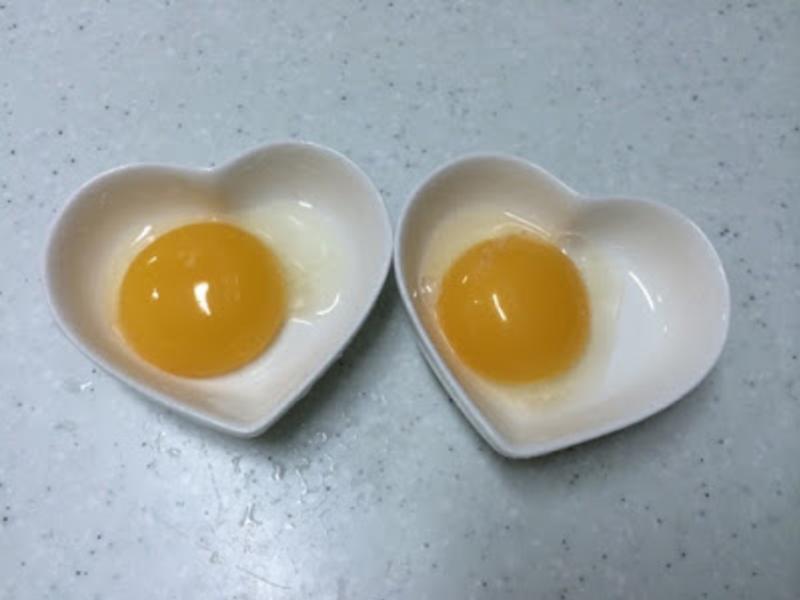 ţ���������� ????????������