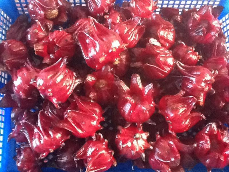 �������񻨵�����