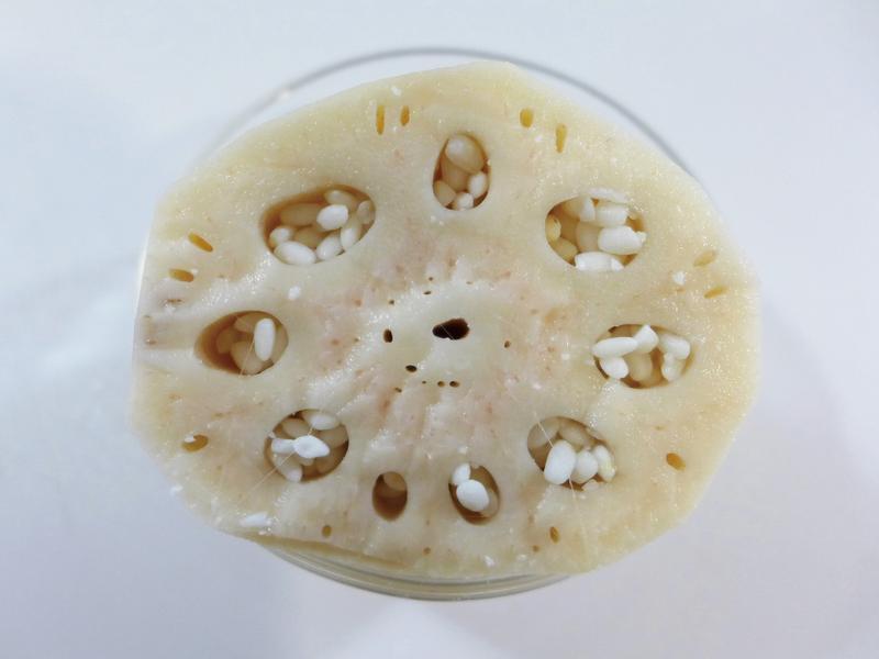 ����Ŵ��ź������