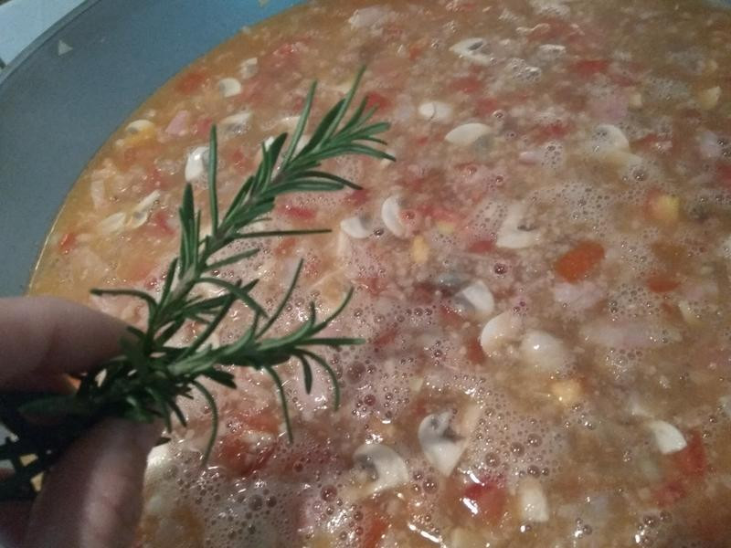 ��ʽĢ��ެ���⽴������