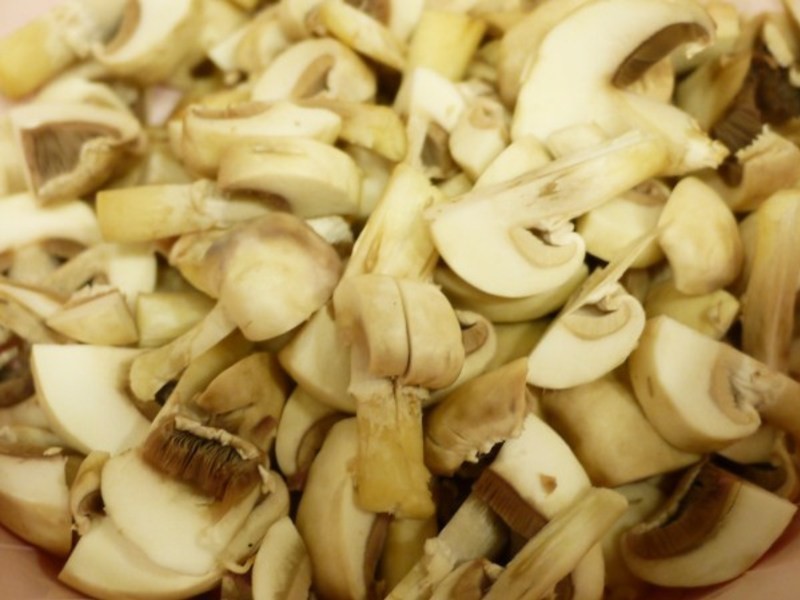 ����Ģ��ţ�ŵ�����������