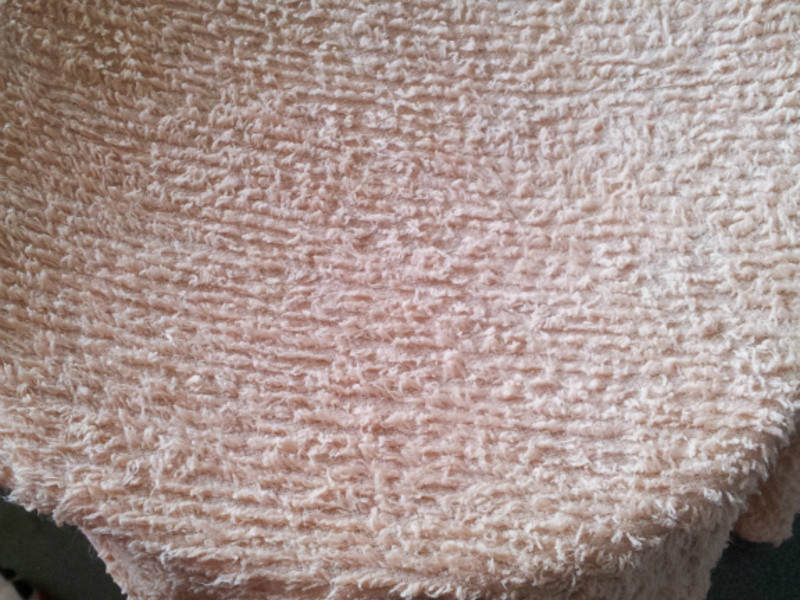 ����ݮ�Ͱ�ӥ�����̡�? ��ݮ������ͷ������