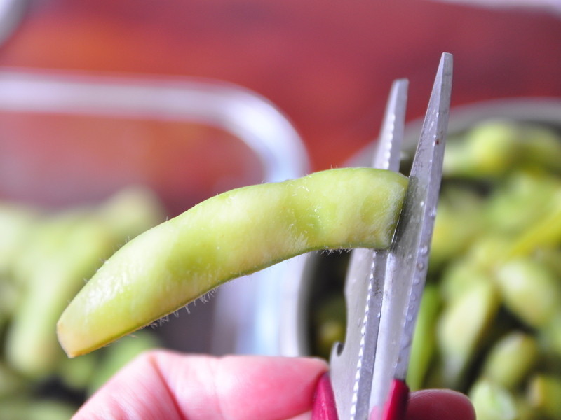 ����˫��ë��������