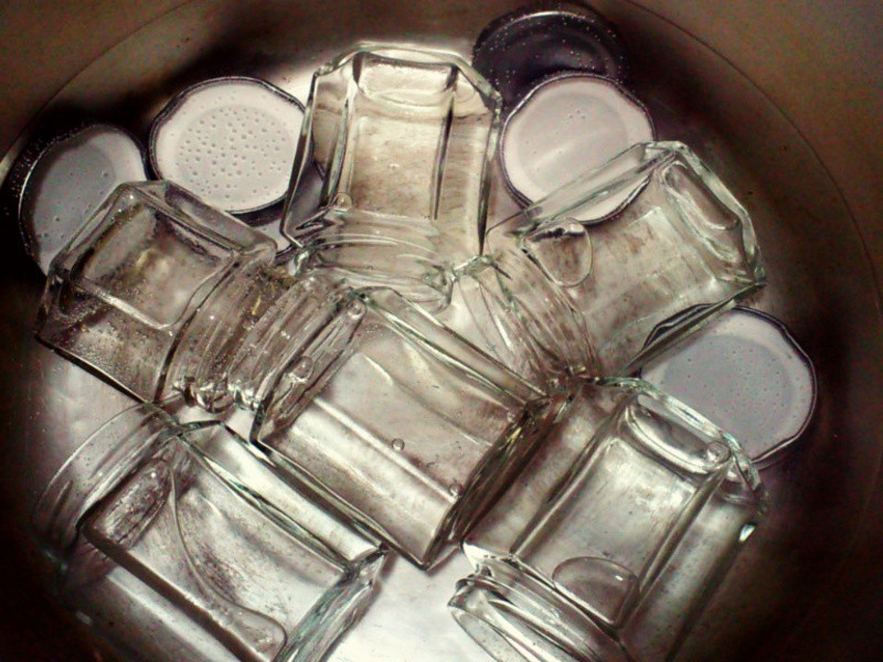 �鶥�޶���ݮ����������