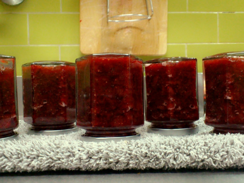 �鶥�޶���ݮ����������