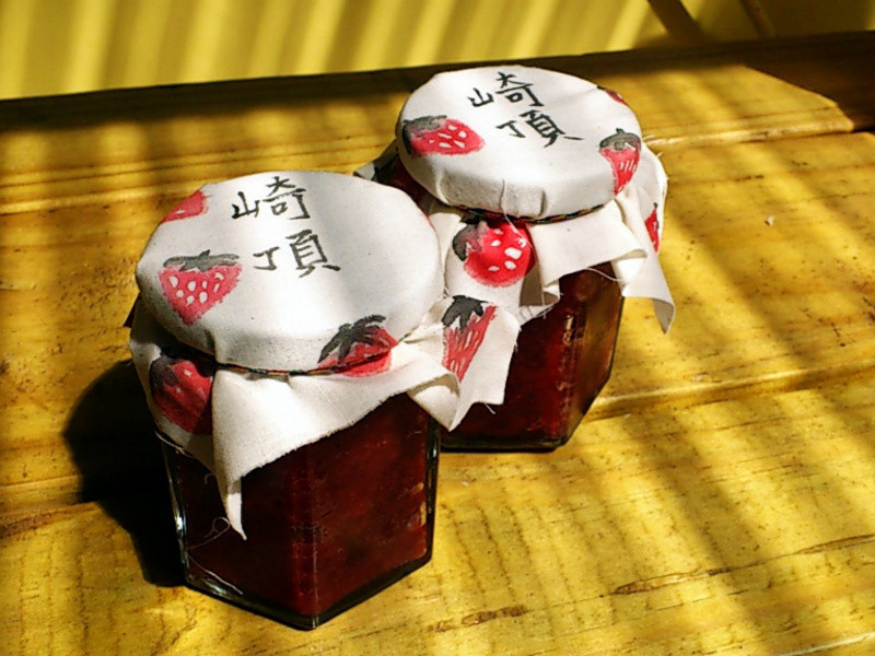 �鶥�޶���ݮ����������