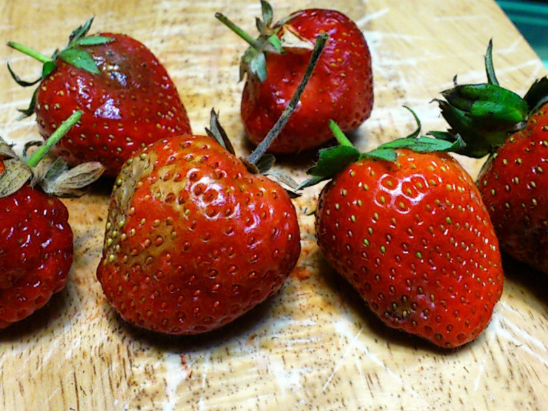 �鶥�޶���ݮ����������