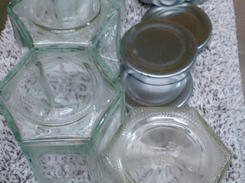 �鶥�޶���ݮ����������