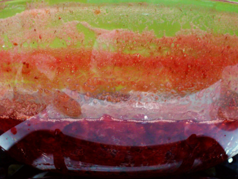 �鶥�޶���ݮ����������