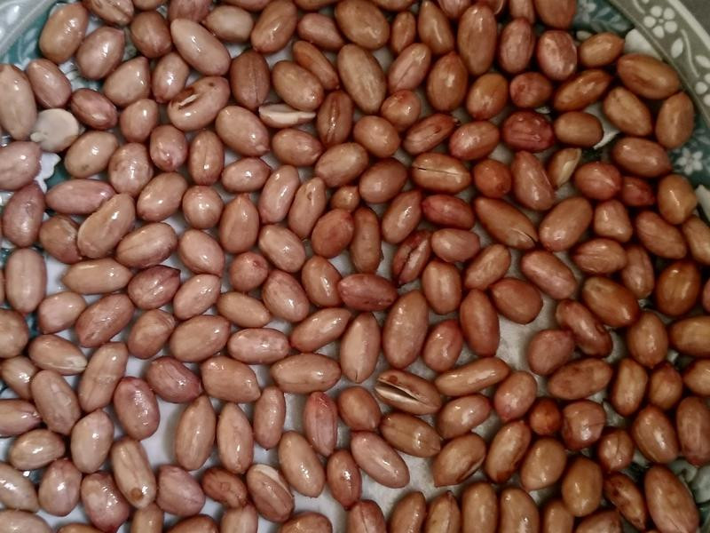 ��΢��¯��������������