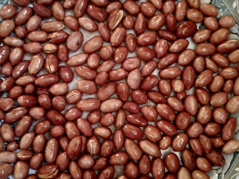 ��΢��¯��������������