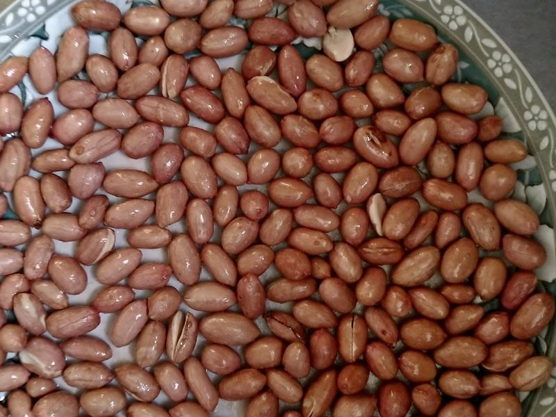 ��΢��¯��������������