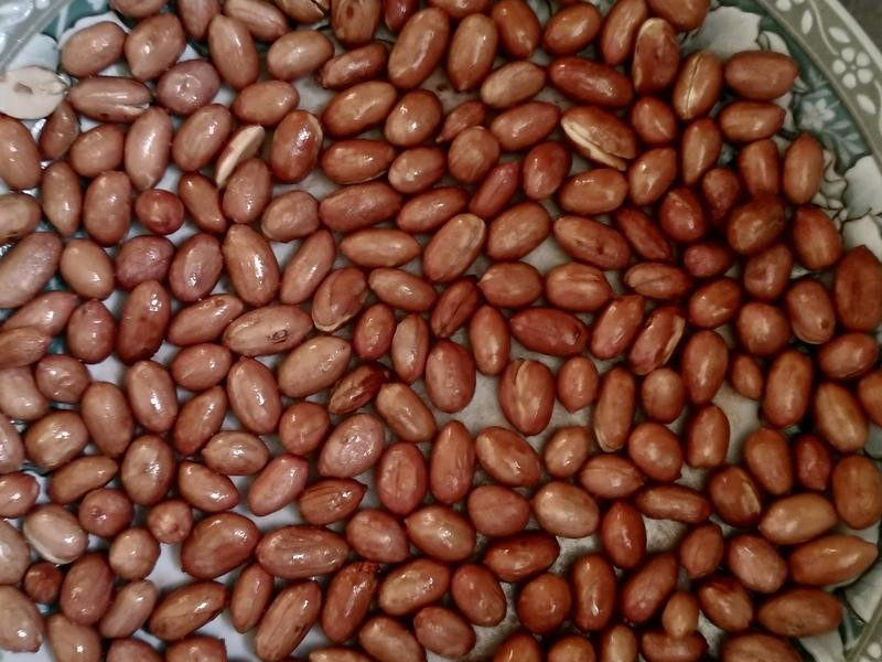 ��΢��¯��������������