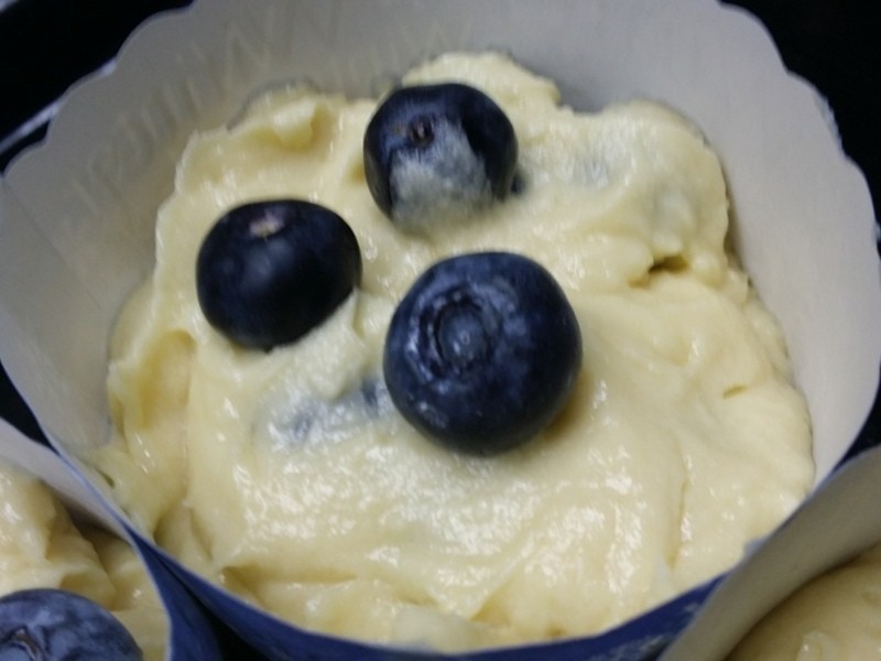 ��ݮ��ҵ��������