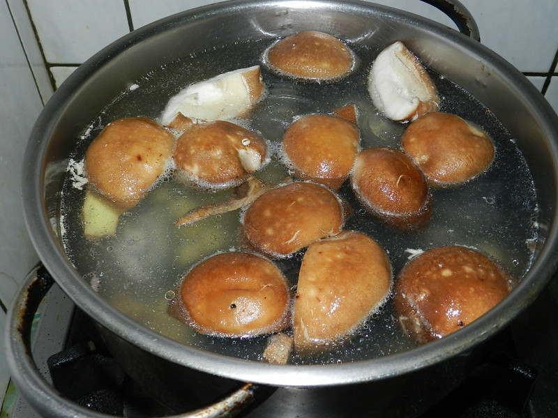 �����ڹǼ���������