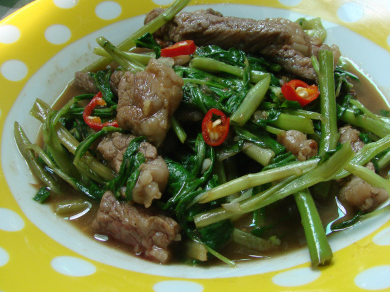 ���Ĳ�ɳ�賴ţ�������