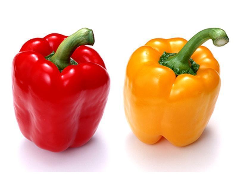 ���ۻ��� [�ʽ��ʼ���]������