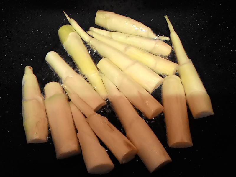 [�ҳ���]���������ȵ�����