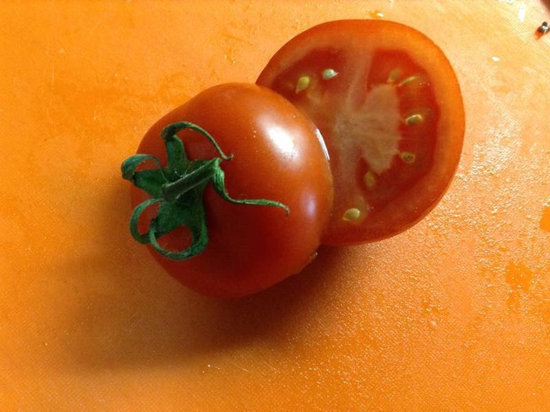 ͨ�ķ�ɳ��ެ���ѵ�����