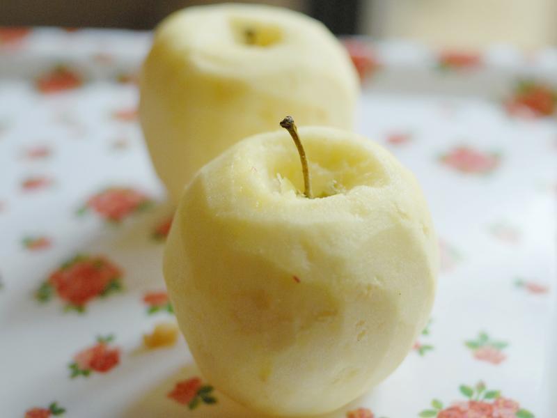 õ������ƻ�� ��������㡿������