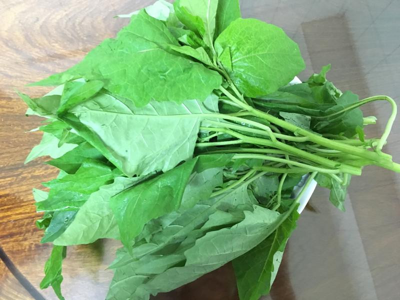 ����ζҰ���������