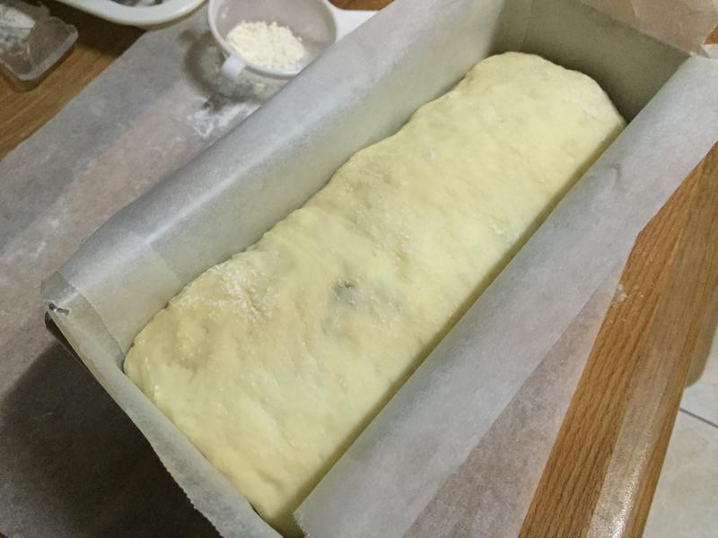 �Ÿ���������������