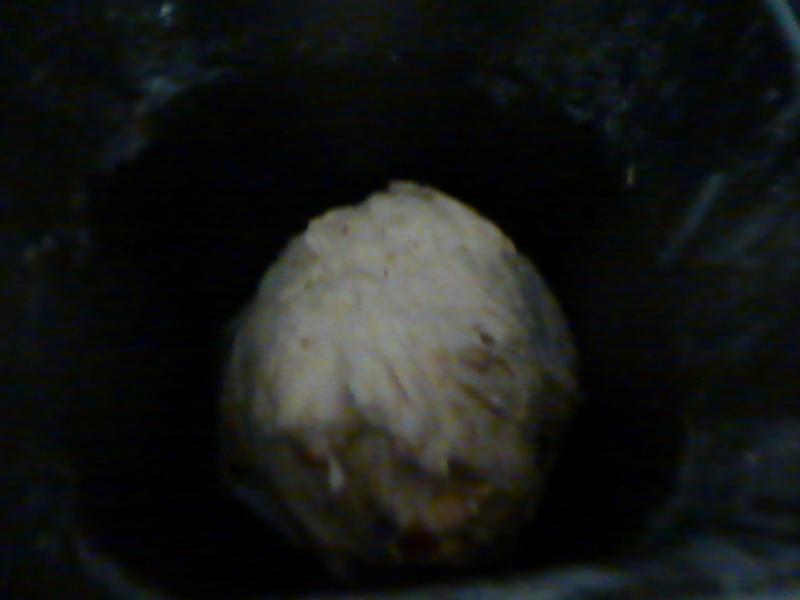 ������˾������������