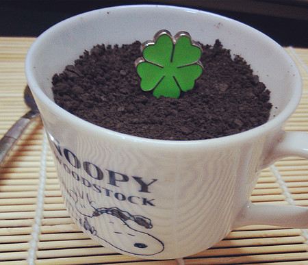 ���ԳԵ����ԣ��������̡����ԡ�������