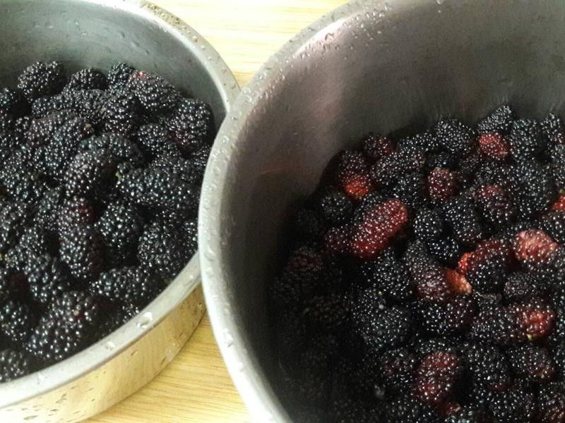 ɣ���������ˮ������