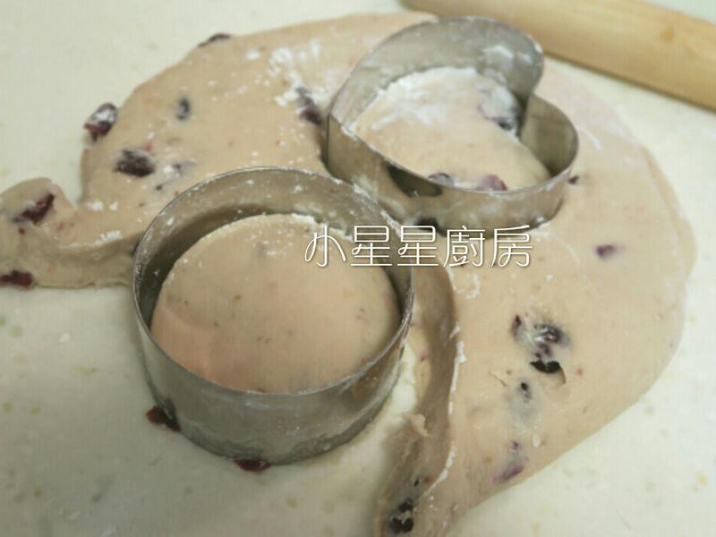 ݮ������˾��������