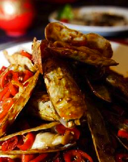 �������ӵ�����