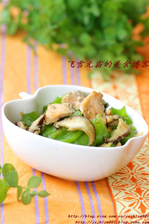 �ཷ��������Ƭ������