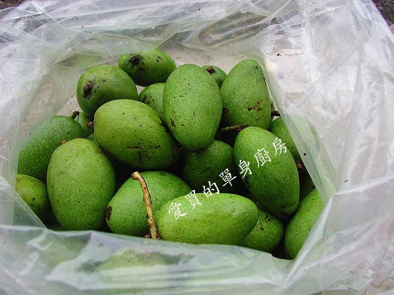 ��â���۽�������