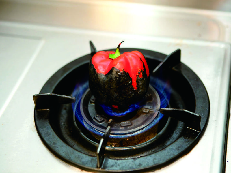 Ӣ�������Ҳ�Կ����������㿧���ƽ𷹵�����