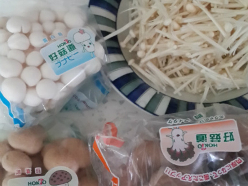 ������������͵�����