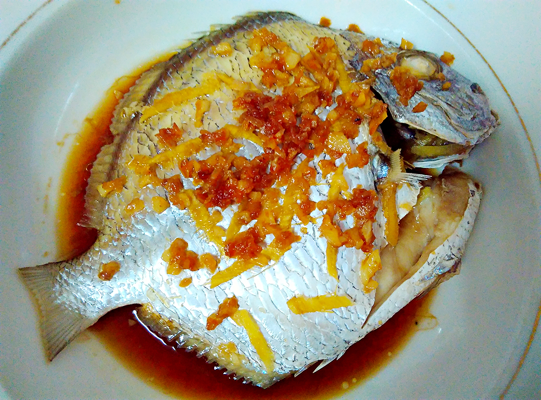 ����Բ���������