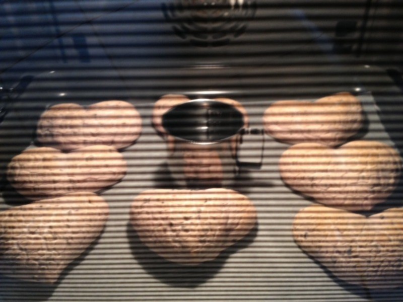 �������ͺ������������