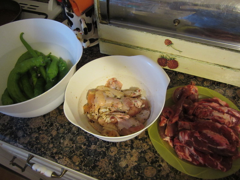 ��ʽ̿��������