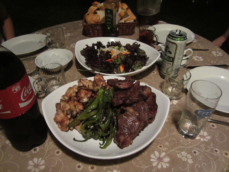 ��ʽ̿��������