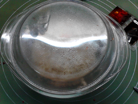 �����ȸ��������