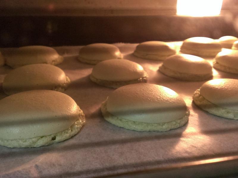 Ĩ�踲������ʽ������������