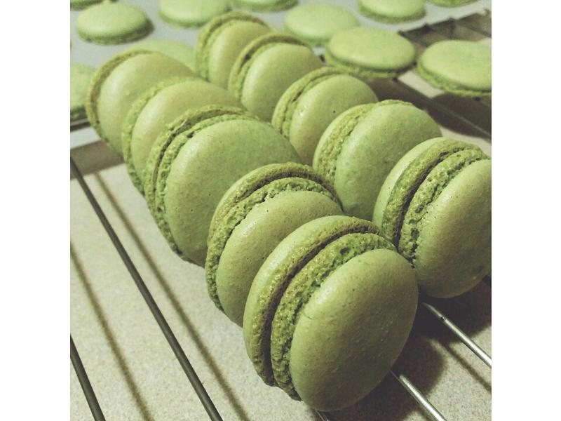 Ĩ�踲������ʽ������������