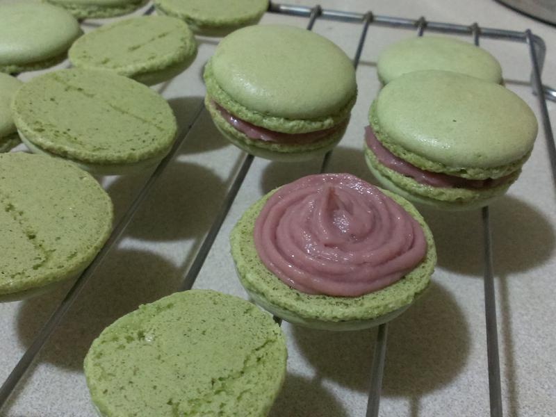 Ĩ�踲������ʽ������������