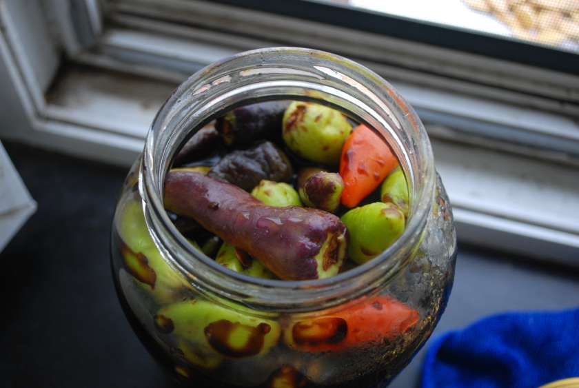 ������������