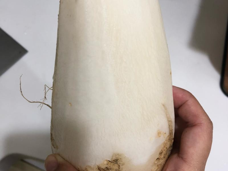 ��ĥ������ͷ�@������