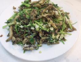 �س���˿������