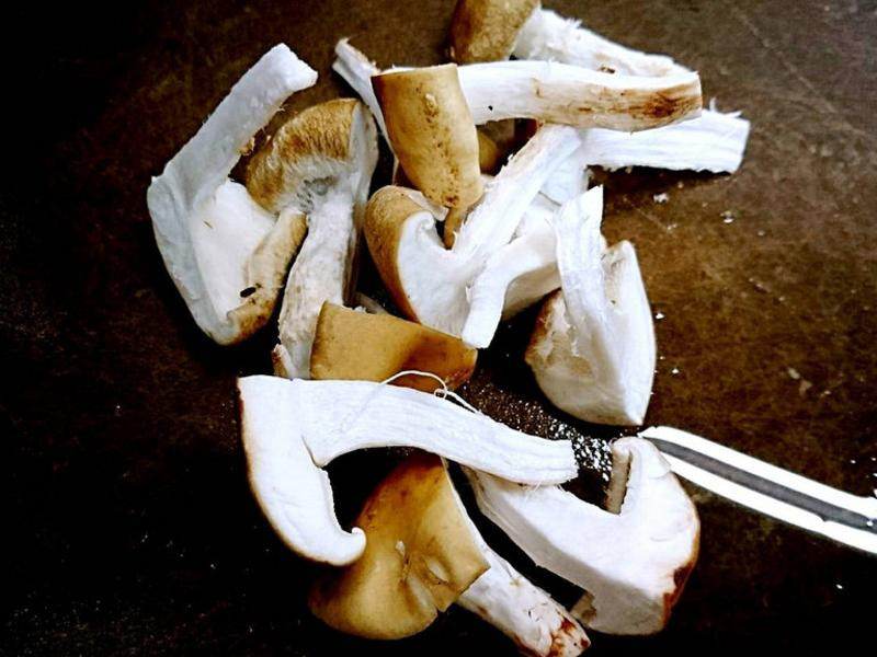 ���ո����ŵ�����