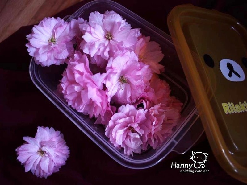 ��ӣ��������