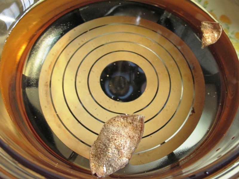 ����-��ƹ�������������