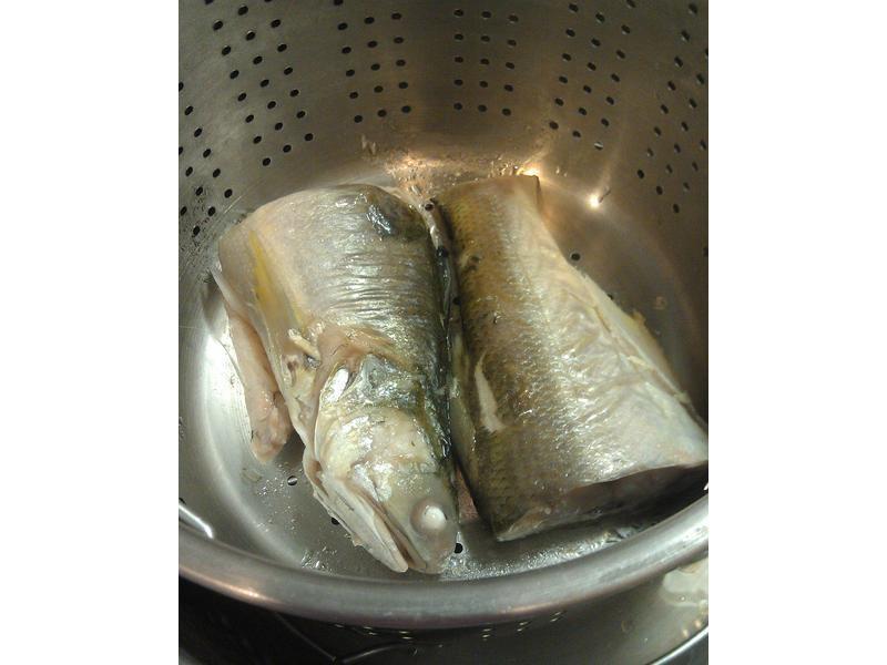 XO�����������